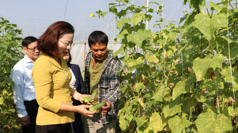  Hội Nông dân Thái Bình nhận ủy thác hơn 1.700 tỷ từ Ngân hàng CSXH, giúp hàng nghìn nông dân làm giàu