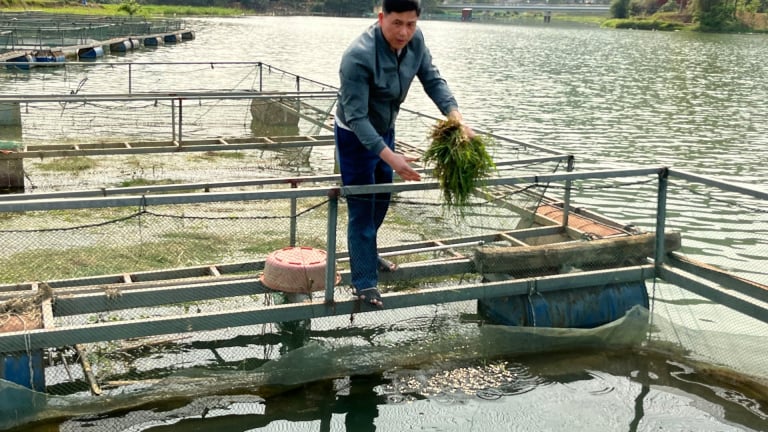 Các loài vật này chỉ sống dưới nước, có con gặm cỏ như thỏ, nuôi thành công, dân một thị trấn ở Lạng Sơn bắt lên bán là hết sạch