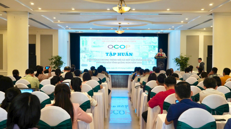 Quảng Nam triển khai tập huấn cho các chủ thể tham gia Chương trình OCOP