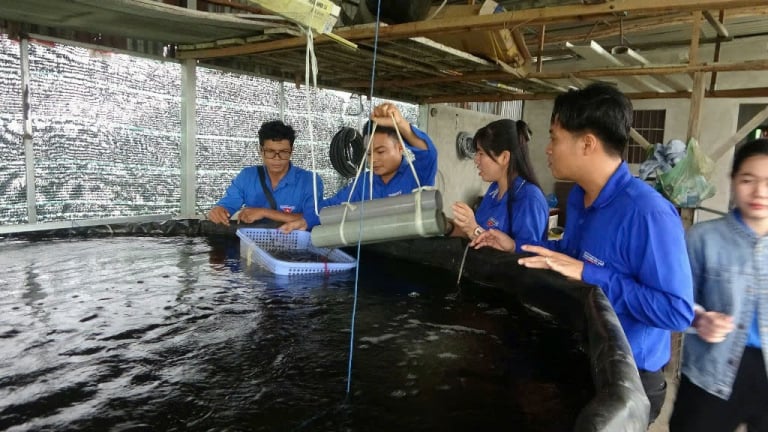 Giảm nghèo ở An Giang qua một mô hình nuôi con đặc sản kết hợp trồng rau màu của một phụ nữ Khmer