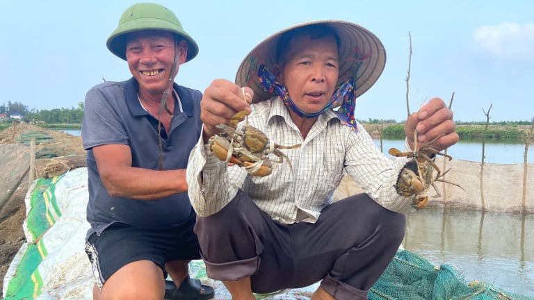 Ở Hà Tĩnh, dân cho 3 con đặc sản bình dân này 'chung nhà', đâu thấy 'cãi cọ gì' mà lại 'mát' đồng tiền