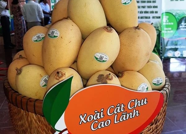 Sức bật trái cây Việt Nam  - nhìn từ vựa trái cây Đồng bằng sông Cửu Long