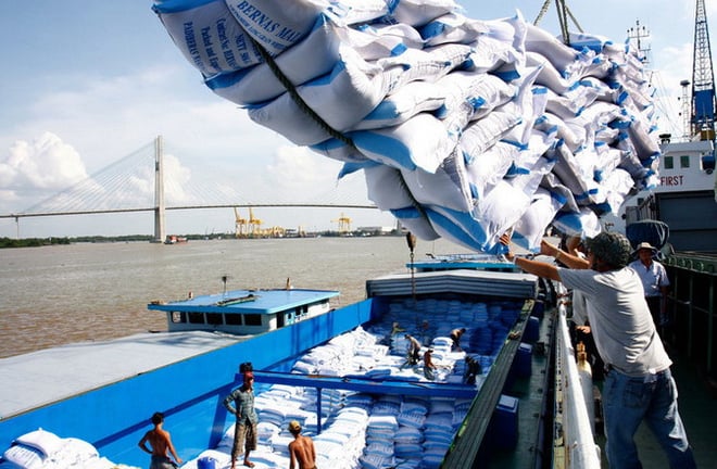 Doanh nghiệp gạo Việt Nam thua lỗ hoặc chỉ duy trì được biên lợi nhuận rất mỏng, vì sao vậy?