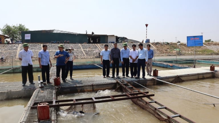 Đây là các mô hình nuôi con đặc sản, trồng lúa hữu cơ ra gạo ngon, dân 4 tỉnh đồng bằng sông Hồng giàu hẳn lên, đó là các tỉnh nào?