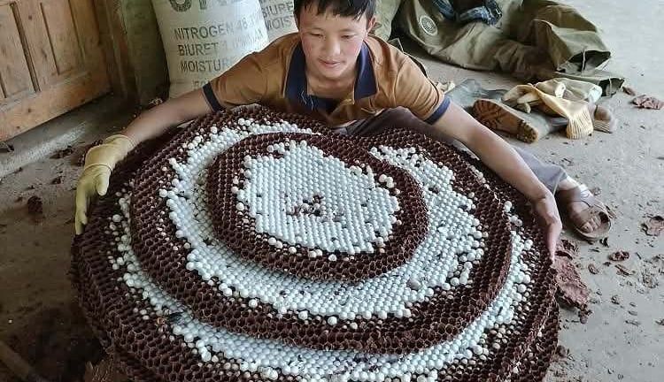 'Thuần phục sát thủ có cánh”, anh nông dân Điện Biên có thu nhập cao