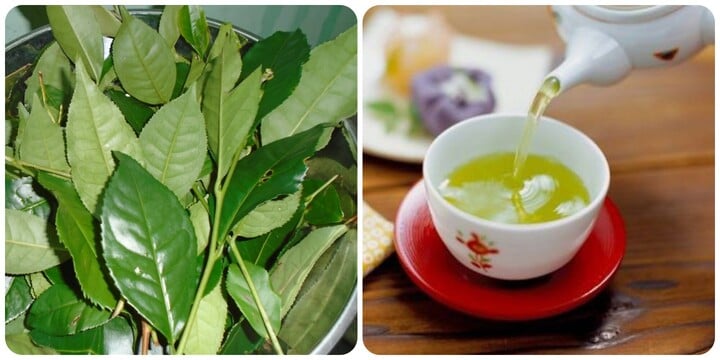 Thứ nước cực tốt cho sức khỏe, nắng nóng càng uống nhiều song cần lưu ý 4 cấm kị này