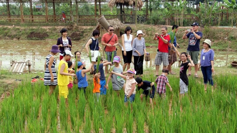 Hà Nội đề xuất sử dụng một phần đất nông nghiệp làm du lịch và giáo dục trải nghiệm