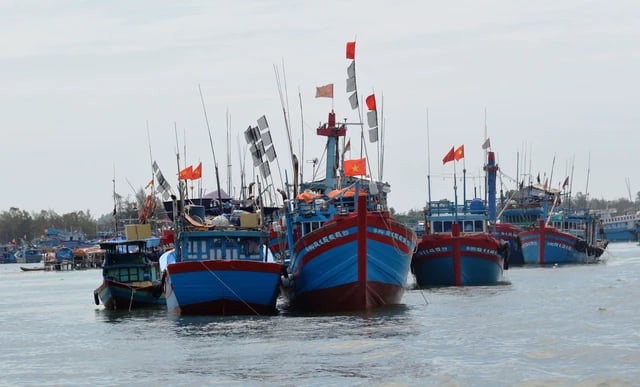 Trung Quốc thông báo cấm đánh bắt cá có thời hạn, Hội Thủy sản Việt Nam kiến nghị có giải pháp bảo vệ ngư dân bám biển
