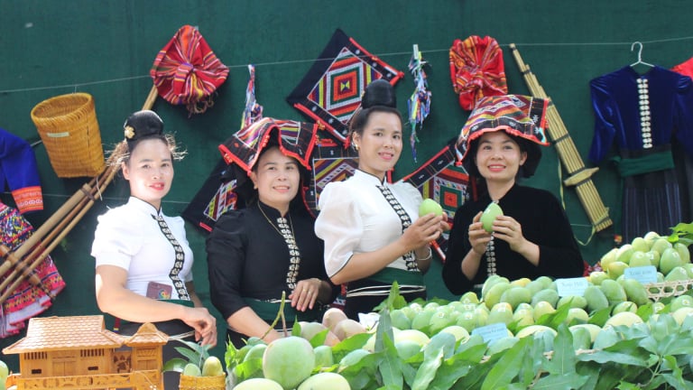 Chuẩn bị diễn ra Ngày hội xoài Yên Châu 