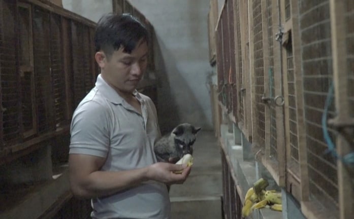 'Hotboy Quảng Bình' nuôi con vật hoang dã gì mà cứ 'ngủ ngày cày đêm', hễ bán là ra ngay 'con đặc sản'?