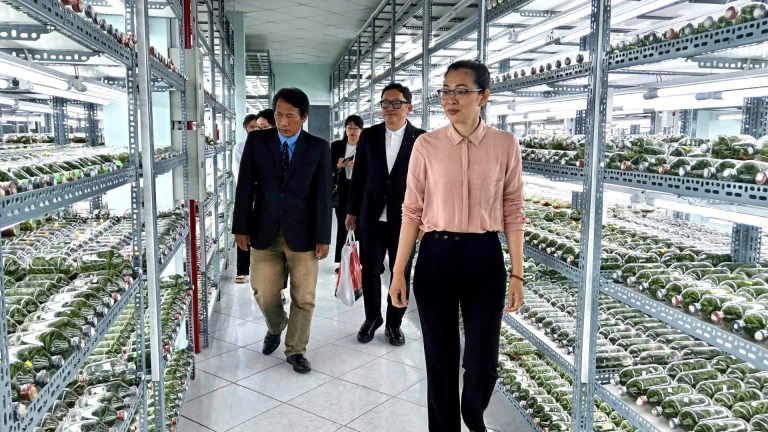 TP HCM sử dụng phần mềm quản lý Quỹ Hỗ trợ nông dân, cho vay đúng đối tượng, không trùng lắp
