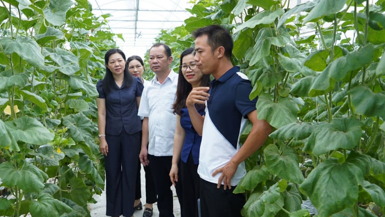 Nông dân Bắc Ninh sản xuất kinh doanh giỏi, xây dựng nông thôn mới, làng quê văn minh, nơi đáng sống 