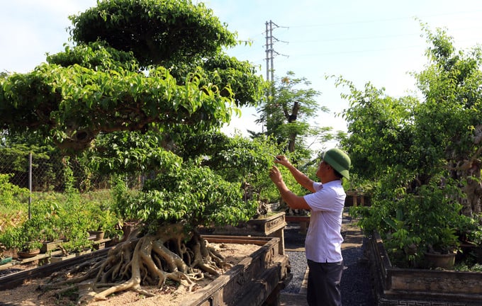 Hà Nội: Thường Tín về đích nông thôn mới nâng cao, thành quả từ sự đồng lòng và tầm nhìn chiến lược