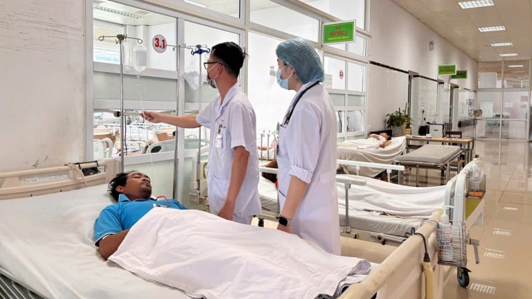7 người ngộ độc sau khi ăn nấm hái trong rẫy ở Đắk Lắk