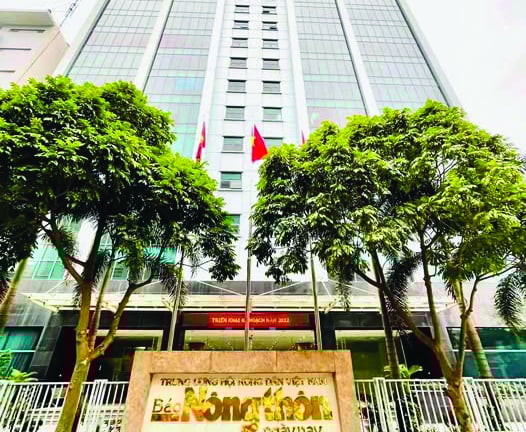15 năm Dân Việt ra mắt độc giả: Hạt mầm vươn mình thành cây xanh vững chãi