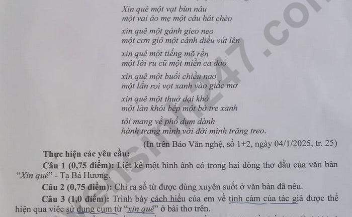 Đề thi môn Văn vào lớp 10 năm 2025 của Ninh Thuận có gợi ý đáp án 