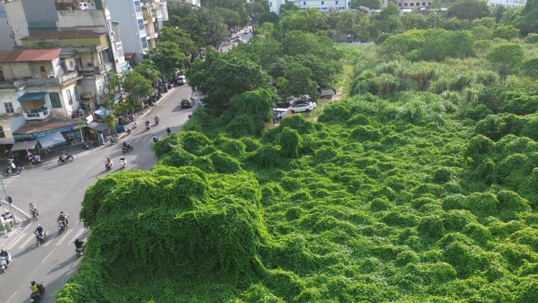 Ảnh ấn tượng tuần: Người dân đón đoàn tàu chở cán bộ, chiến sĩ làm nhiệm vụ A80 và khu 'đất vàng” cây dại mọc rậm như rừng