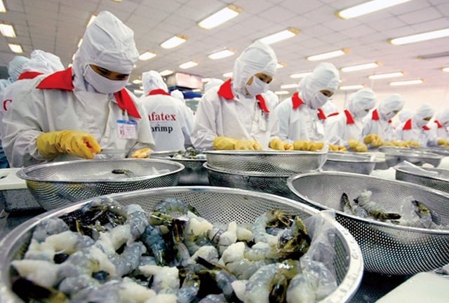 Áp thuế chống bán phá giá lên tôm Việt xuất khẩu vào Mỹ, có doanh nghiệp bị áp trên 35%: VASEP đề nghị xem lại các tính toán