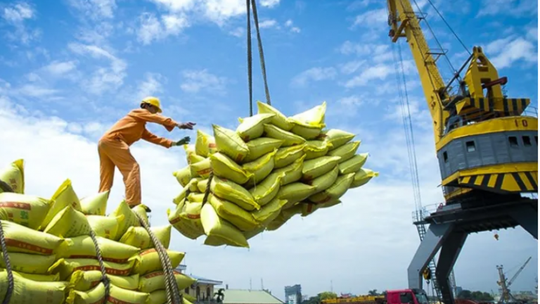 Giá gạo giảm gần 19%, xuất khẩu gạo sang Indonesia giảm tới 97,9%, gạo Việt có lo không?
