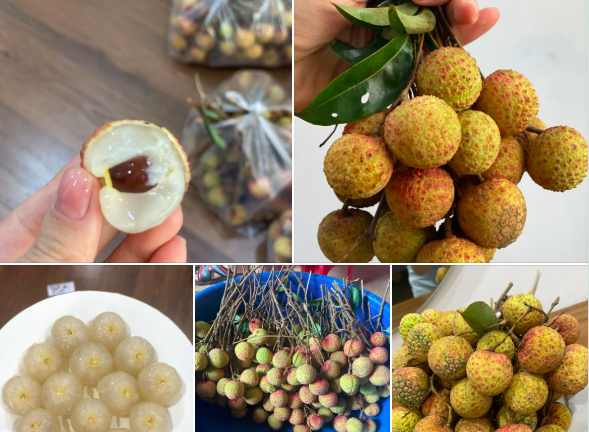 Vải thiều vào mùa vừa ngon vừa rẻ: Ăn 2kg mỗi ngày có tốt cho sức khoẻ không?