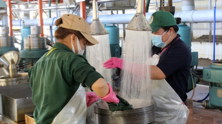 Chính sách nào giúp kinh tế Tây Ninh ghi nhận hàng loạt tín hiệu khởi sắc, xuất khẩu tăng tốc, thu ngân sách đạt 50% kế hoạch?