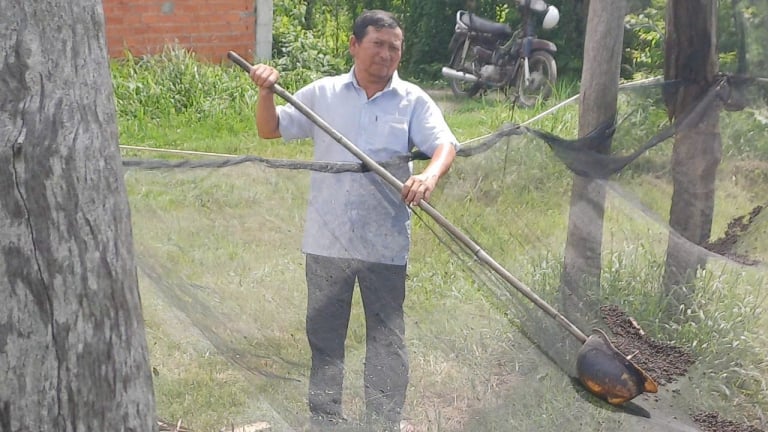 Ông nông dân Tây Ninh nuôi con gì trông ghê, chả thấy cho ăn bao giờ mà vẫn thu tiền đều tay?