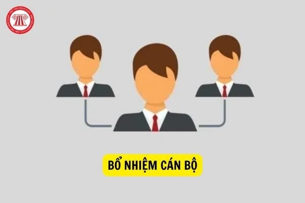 Chủ tịch UBND xã có thẩm quyền bổ nhiệm, miễn nhiệm, tạm đình chỉ, cách chức với những chức vụ nào theo quy định mới?