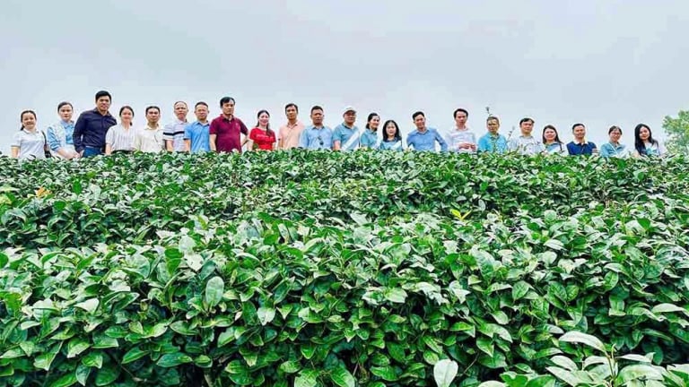 Trung tâm Khuyến nông Hải Dương thực hiện nhiệm vụ đào tạo huấn luyện khuyến nông năm 2025