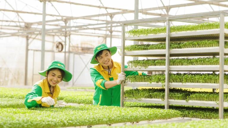         Báo chí, truyền thông nông nghiệp hữu cơ: Vì sức khỏe con người, môi trường và xã hội
