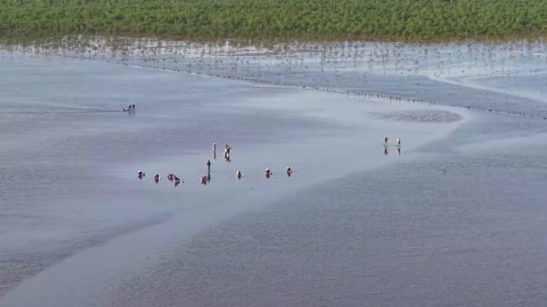 Trồng rừng ven biển: Hướng đi kép trong giảm nghèo và chống biến đổi khí hậu ở Thái Bình