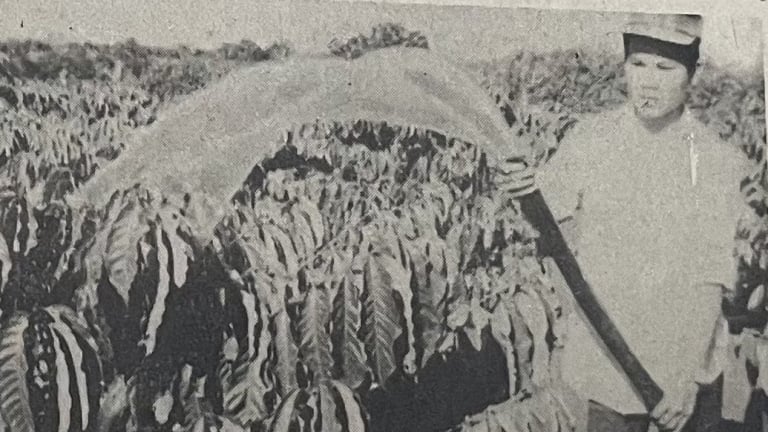  Về hoàn thiện khoán sản phẩm ở Thái Bình (Bài 7) - 10 bài báo kinh điển về đề tài tam nông trong 40 năm Đổi mới