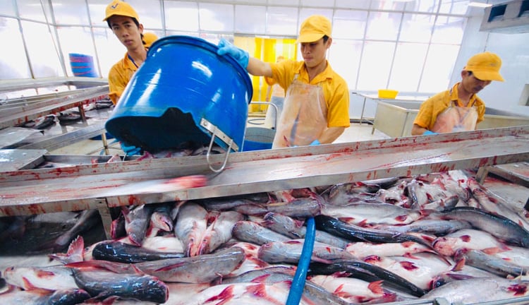 Mỹ công bố chính thức mức thuế chống bán phá giá cá tra của Việt Nam, kết quả ra sao?