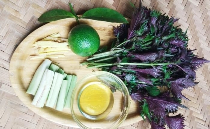Hai bài thuốc từ lá tía tô nấu với gừng không phải ai cũng biết