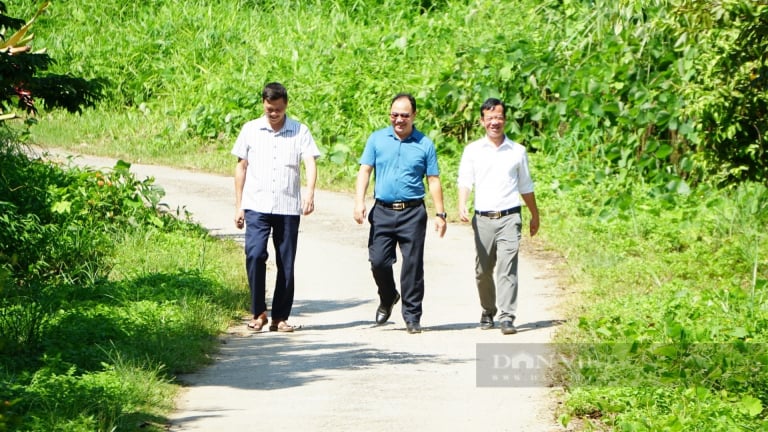 Để nông dân giỏi phát huy mạnh mẽ vai trò chủ thể xây dựng nông thôn mới: Những vướng mắc chính sách nào cần tháo gỡ?