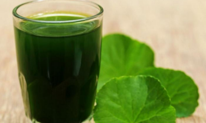 Đây là thứ nước ngăn chứng mất trí nhớ, chống lão hóa lại thanh nhiệt mùa hè