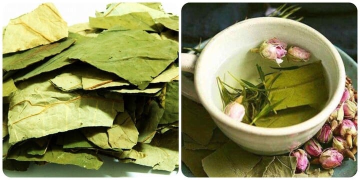 Nước lá sen có vô vàn tác dụng bảo sao nhiều người hãm trà, đun nước uống thay nước lọc hằng ngày