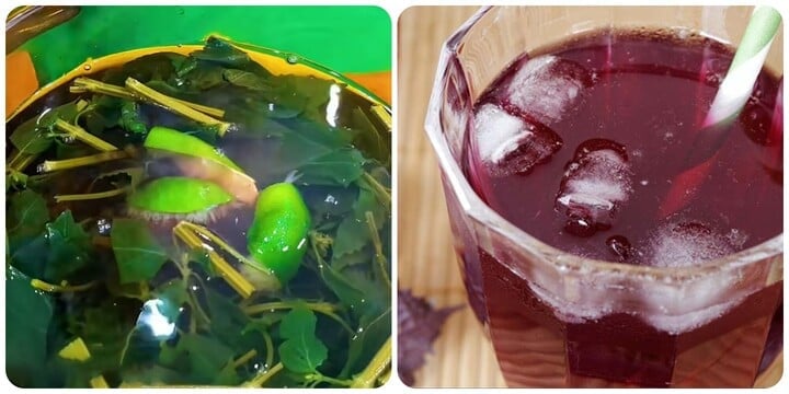 Cách nấu nước lá tía tô uống giải nhiệt ngày hè