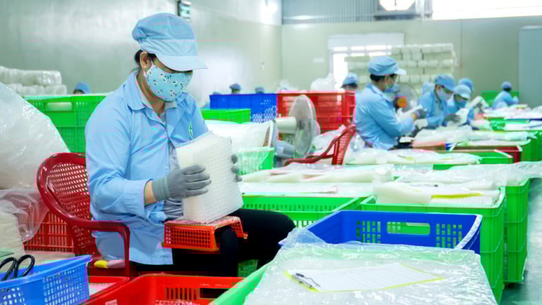OCOP Tây Ninh có món bánh tráng mỏng tang mà mỗi tháng xuất khẩu 9 tấn, nhiều món khác rầm rộ 'bơi biển lớn'