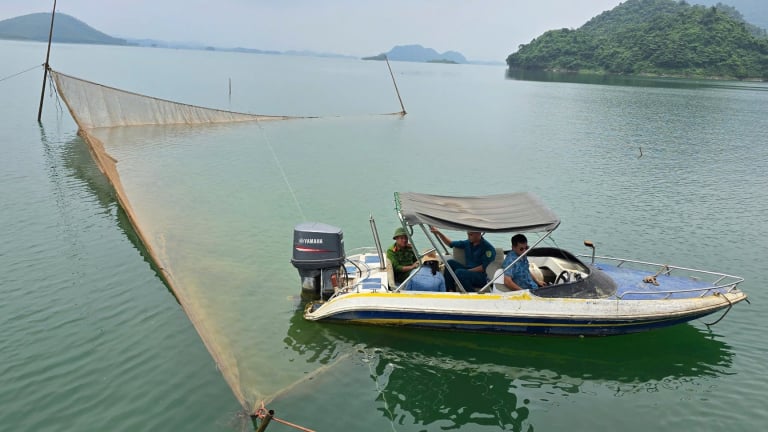 Lào Cai: Chặt vó đèn, ngăn chặn tình trạng tận diệt cá lòng hồ Thủy điện Thác Bà