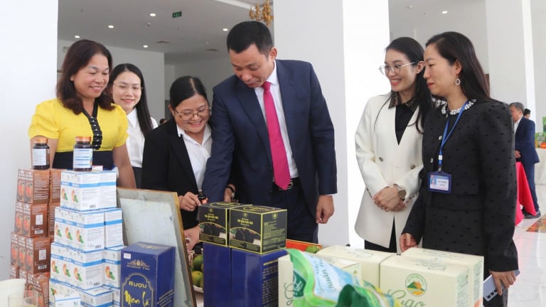 Để nông nghiệp hữu cơ không chỉ là 'trend': Những 'phép cộng' gia tăng giá trị nông sản sạch (Bài 3)