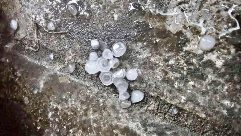 NÓNG: Quảng Ninh đột nhiên xuất hiện mưa đá giữa mùa hè, trước khi bão số 3 đổ bộ