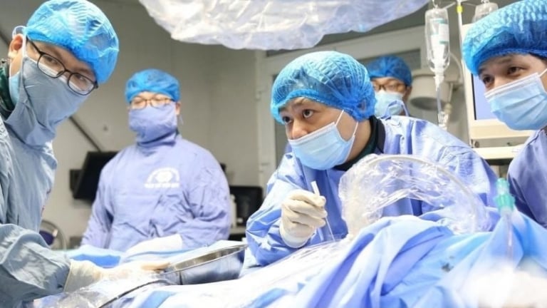 Mệt mỏi, vàng da vì đường mật cùng lúc có 2 'thủ phạm' khó lường