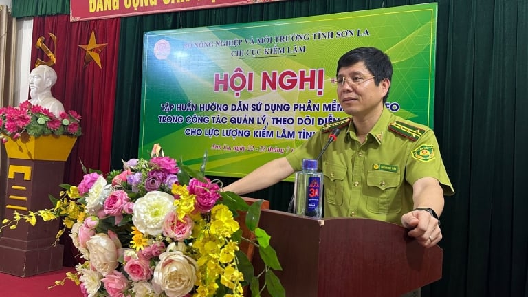 Kiểm lâm Sơn La làm chủ công nghệ bản đồ số, hiện đại hóa công tác quản lý rừng