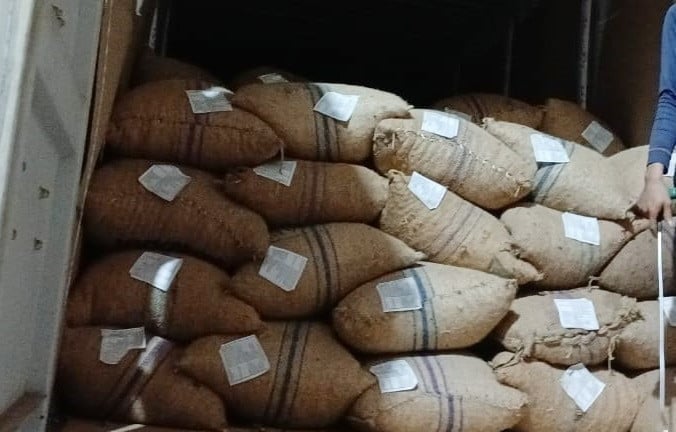 Cục Hải quan Việt Nam cảnh báo doanh nghiệp nhập khẩu điều thô dùng bao chứa cũ, nhập nhèm nhãn mác