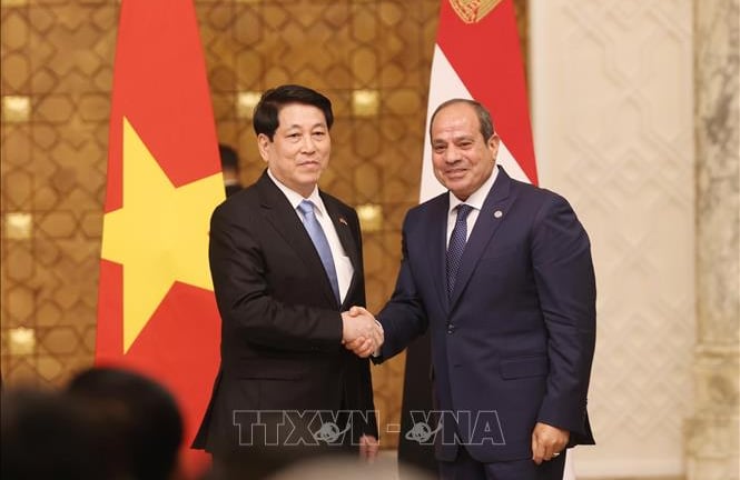 Nâng cấp quan hệ Việt Nam - Ai Cập lên Đối tác toàn diện