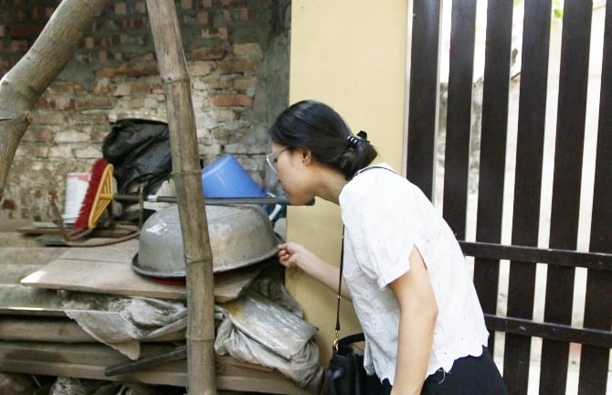 Dịch sốt xuất huyết phức tạp, Hà Nội làm gì để phòng, chống dịch?