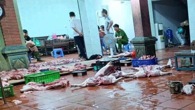 Một cơ sở ở Hưng Yên mua lợn nhiễm Dịch tả lợn châu Phi để giết mổ, chưa kịp bán ra thị trường thì bị phát hiện