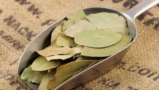 Loại lá ở Việt Nam nhiều người cho nhau miễn phí, ra nước ngoài giá 2 triệu đồng/kg