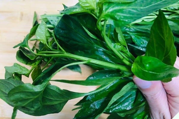 Đừng chỉ ăn quả, lá loại cây này quý như 'nhân sâm người nghèo', ở quê mọc um tùm