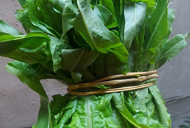 2 loại rau ít 'ngậm' thuốc trừ sâu, cái số 1 đầy ở chợ nhiều người không biết mà mua